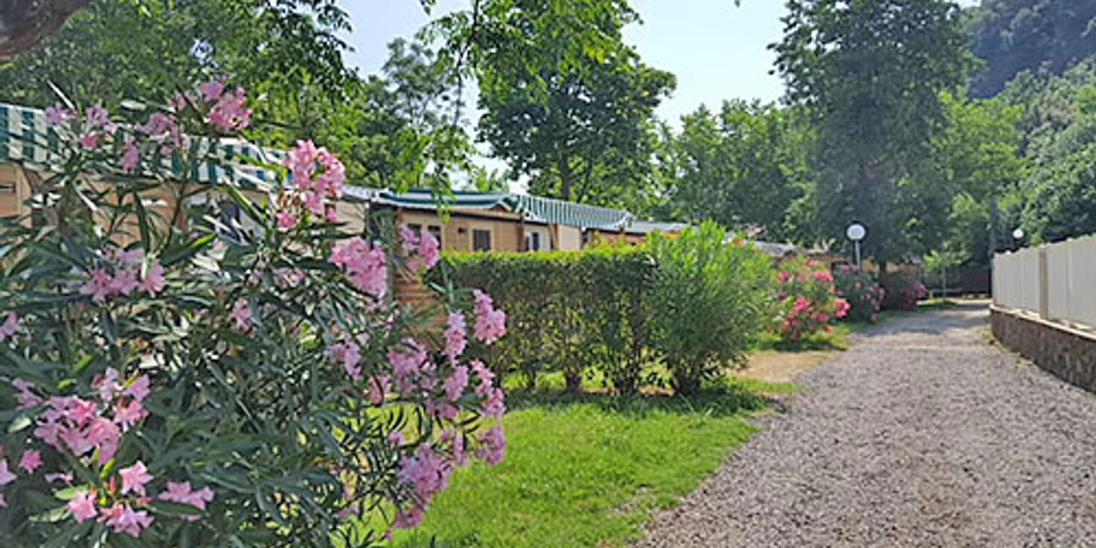 Camping Le Bel été - voir plus