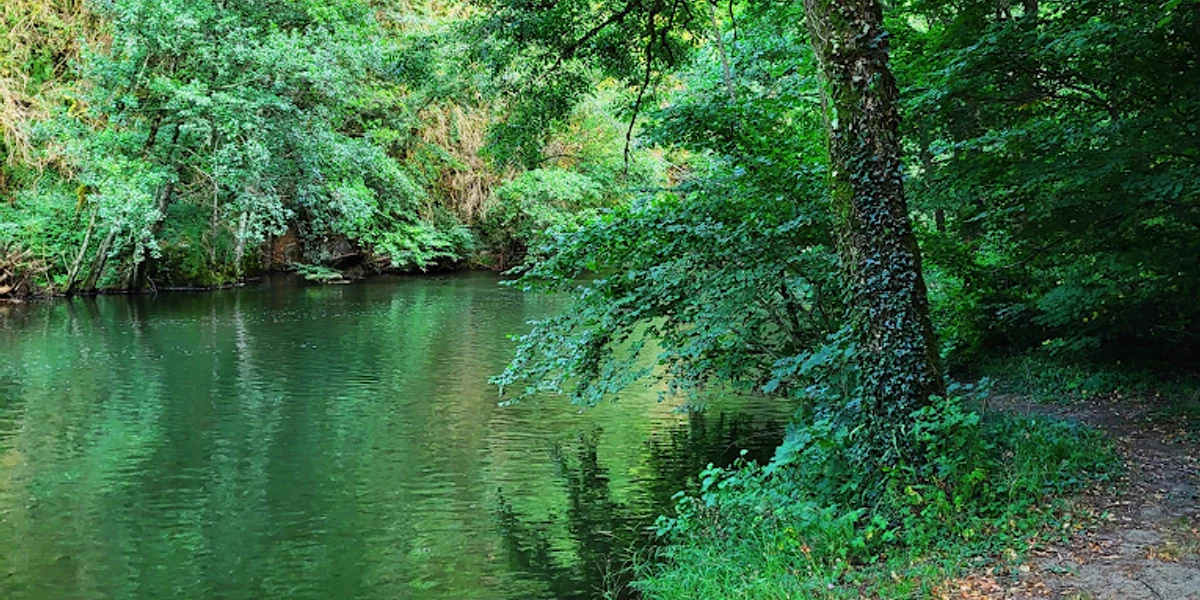 Camping Le Bois Flottant - photo 1