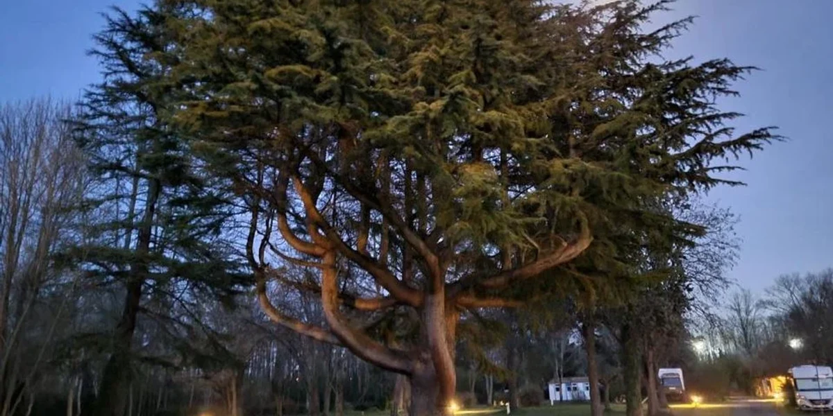 Camping Portes d'Ariège - photo 3