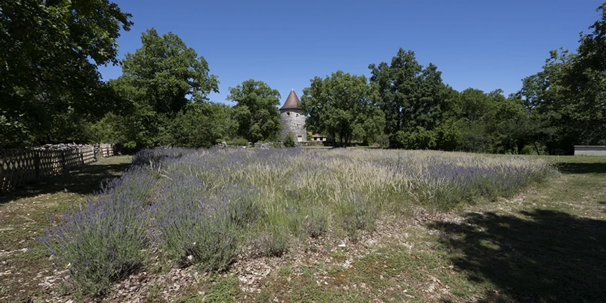 Domaine de Moulin-Phare - photo principale
