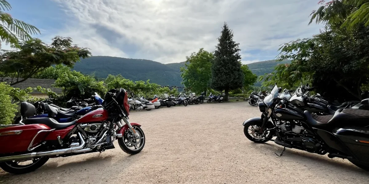 Hôtel Le Vallon - photo 2