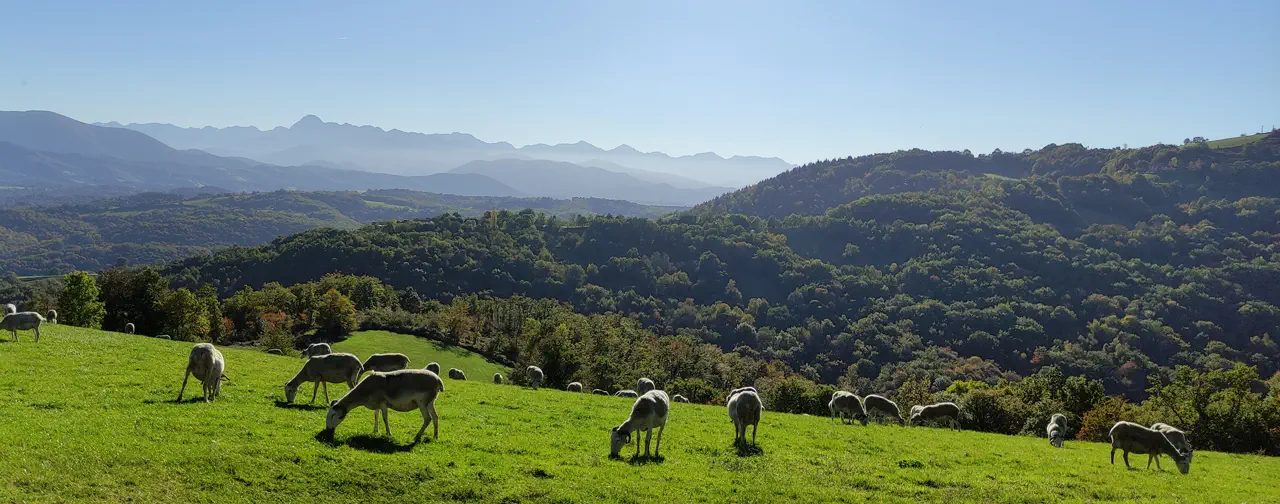 Le Petit Pyrénéen à Le Mas-d’Azil - photo 2