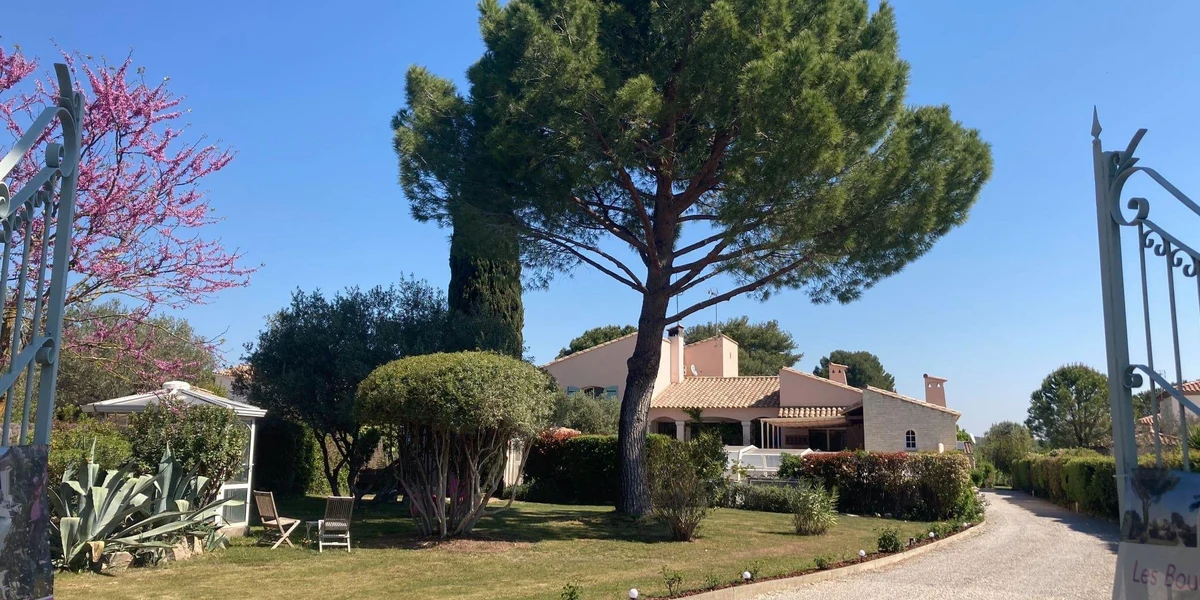 Les Bougainvillées de Camargue - photo 1