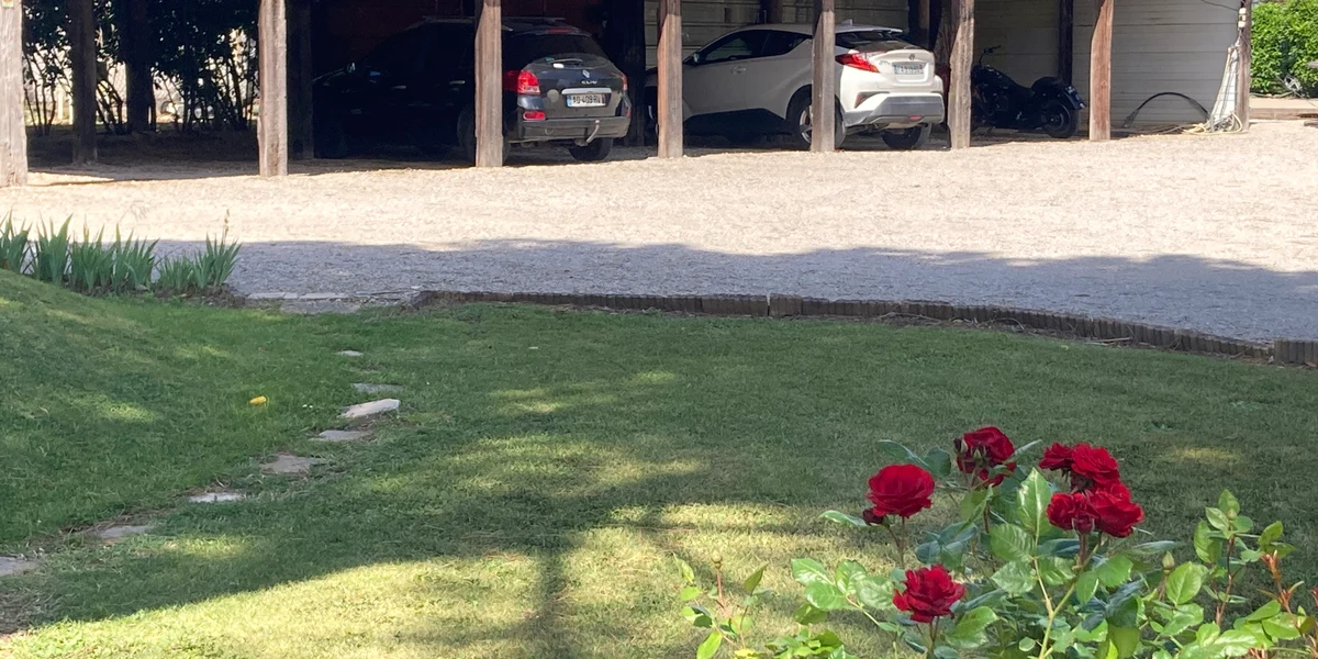 Les Bougainvillées de Camargue - photo 2