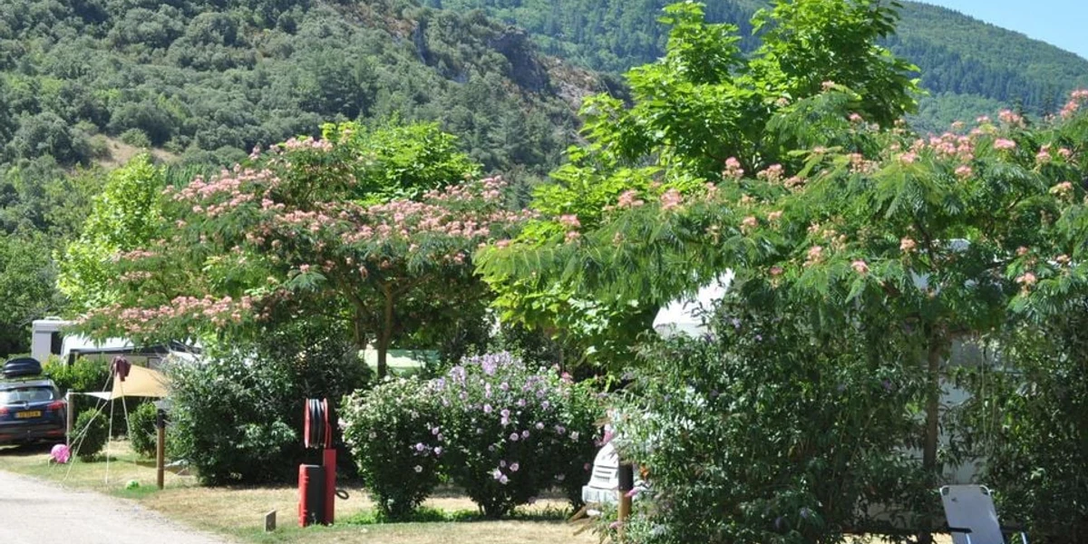 Les Cerisiers du Jaur - photo 3