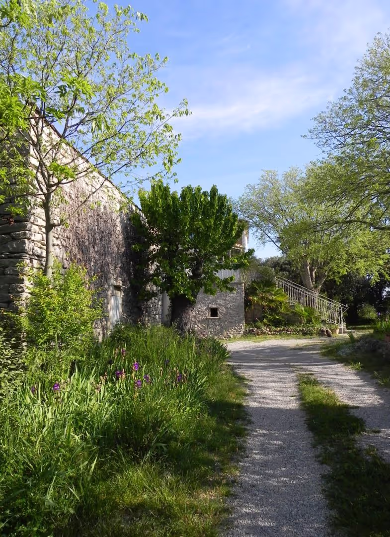 Mas Bouvier - photo 2
