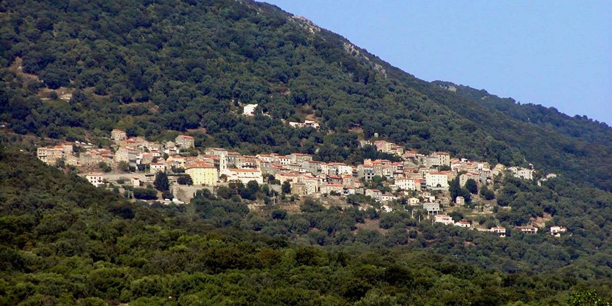Villa Les Orangers - photo 3